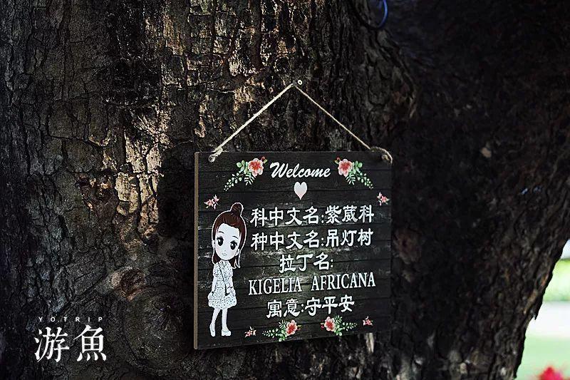 探索世界,与蜗牛一起探讨—请问柯li吉帝?问答平台